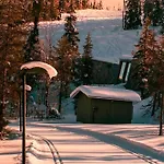 Lights Of Lapland * Posio