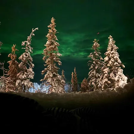 Resort Lights Of Lapland