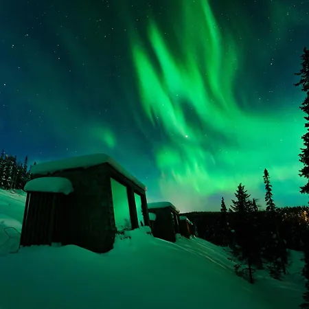Lights Of Lapland *