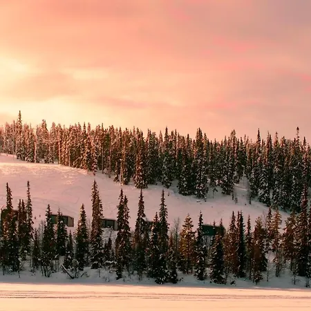 Lights Of Lapland